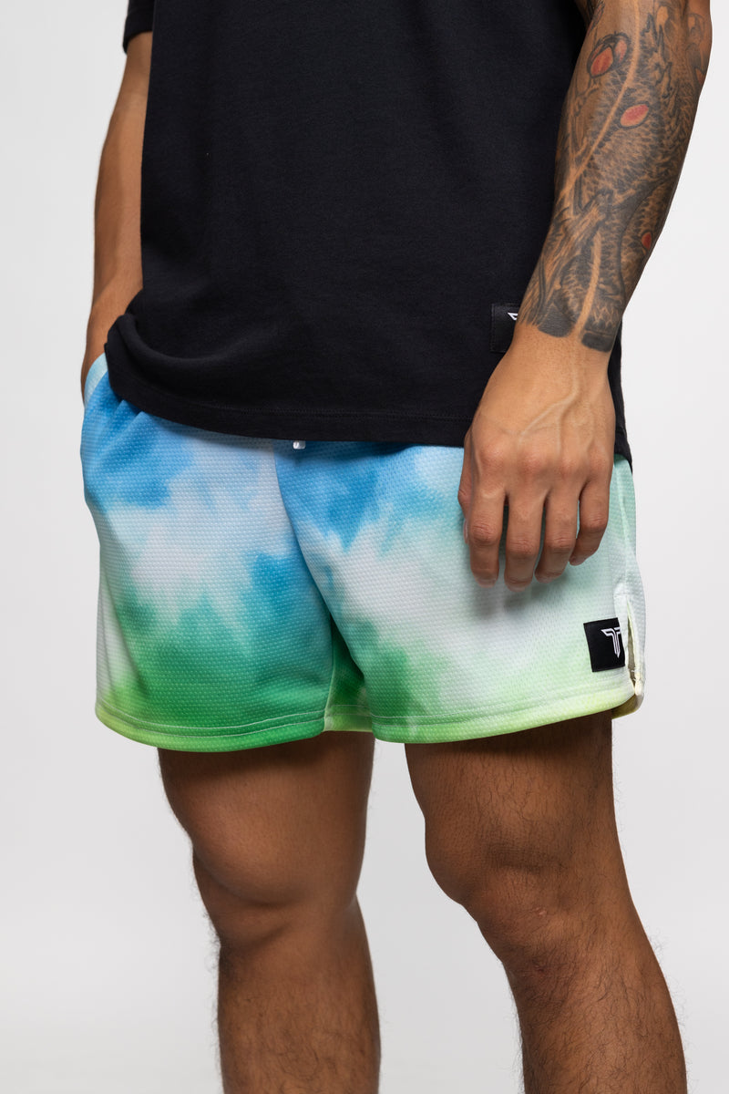 Mesh Training Short (5” Inseam) - Prism