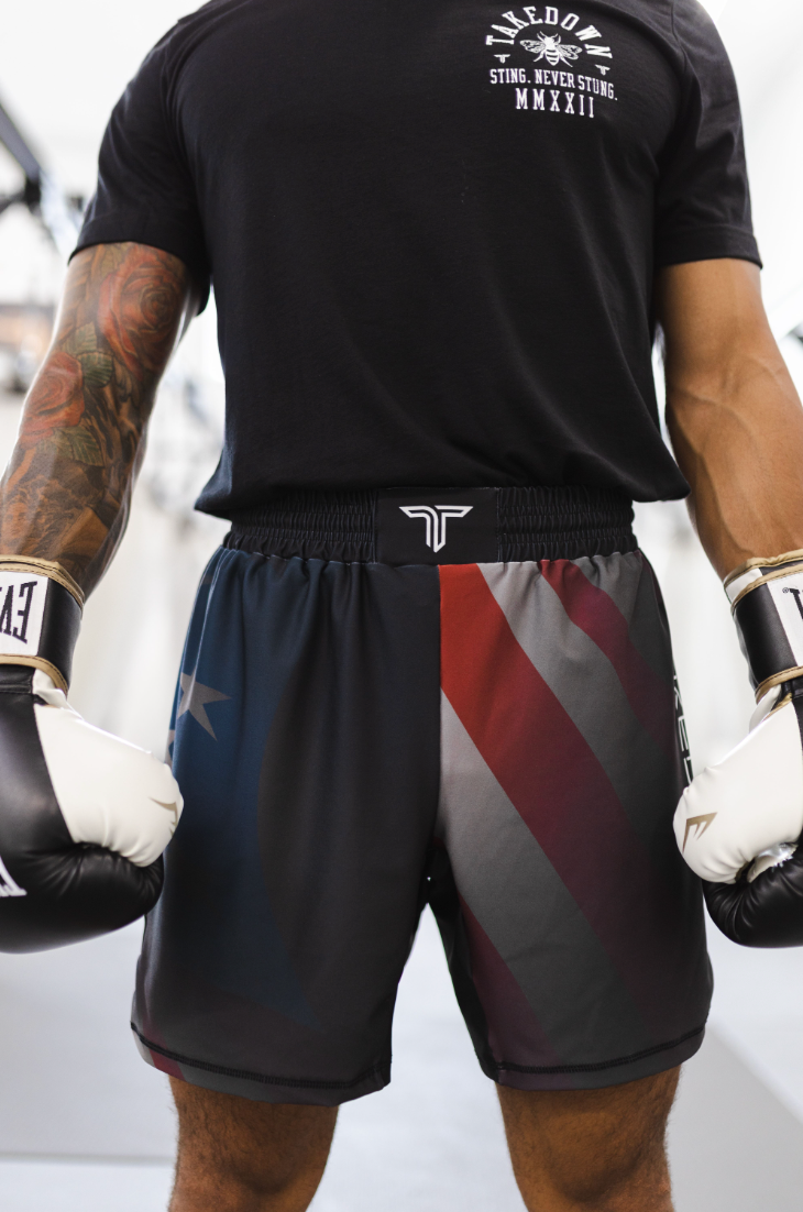 USA Flag Fight Shorts (5